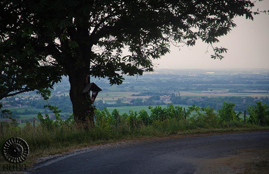 Le Badie Wine Resort Rosazzo ภายนอก รูปภาพ